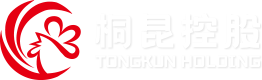 爱游戏aiyouxi股份有限公司