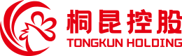 爱游戏aiyouxi股份有限公司
