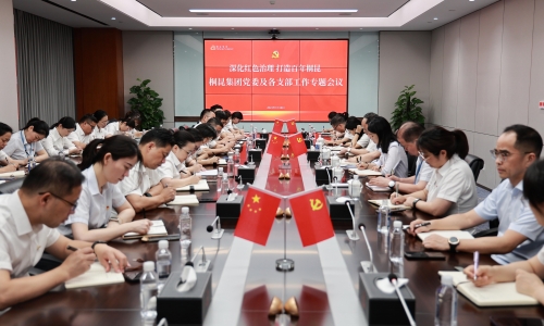 深化红色治理 打造百年桐昆丨爱游戏aiyouxi党委及各支部工作专题会议胜利召开！