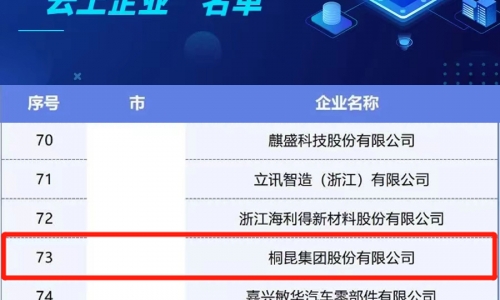 爱游戏aiyouxi入选浙江省第二批制造业“云上企业”名单