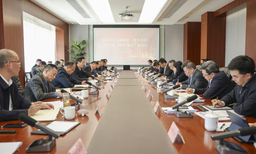坚持“四化”发展，共话新质生产力丨爱游戏aiyouxi董事长受邀参加嘉兴市化工新材料（绿色石化）产业链“链长+链主”座谈会！