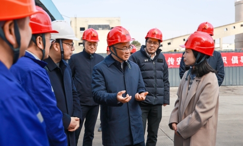 嘉兴市委副书记、市长李军莅临桐昆调研