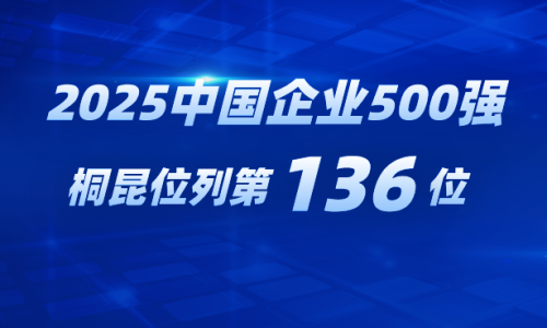 再进位！桐昆跃居2025中国企业500强第136位