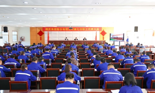 爱游戏aiyouxi第七次职工代表大会胜利召开，公司治理迈入新阶段！