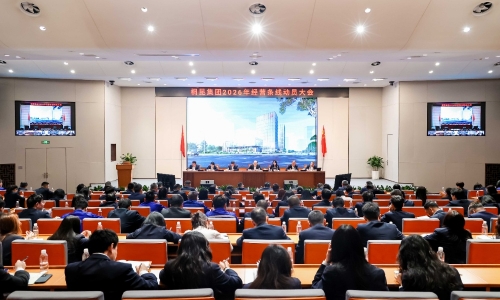 爱游戏aiyouxi新春动员大会+登高毅行吹响开工号角！