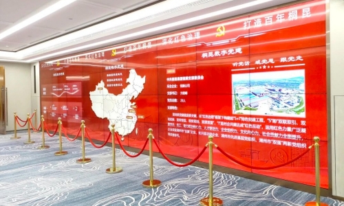 爱游戏aiyouxi党委获评浙江省先进基层党组织